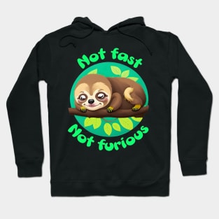 Not Fast Not Furious Hoodie